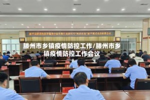 滕州市乡镇疫情防控工作/滕州市乡镇疫情防控工作会议