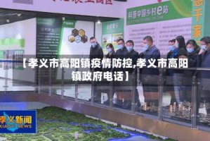 【孝义市高阳镇疫情防控,孝义市高阳镇政府电话】