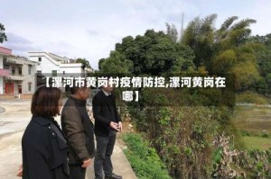 【漯河市黄岗村疫情防控,漯河黄岗在哪】