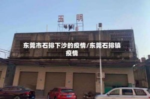 东莞市石排下沙的疫情/东莞石排镇疫情