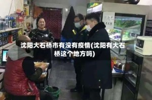 沈阳大石桥市有没有疫情(沈阳有大石桥这个地方吗)