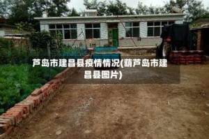 芦岛市建昌县疫情情况(葫芦岛市建昌县图片)