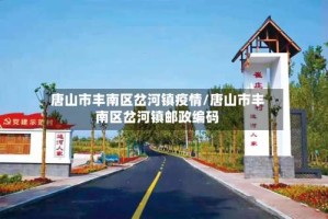 唐山市丰南区岔河镇疫情/唐山市丰南区岔河镇邮政编码