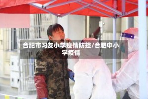 合肥市习友小学疫情防控/合肥中小学疫情