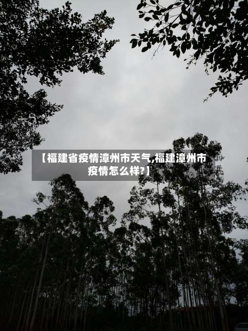 【福建省疫情漳州市天气,福建漳州市疫情怎么样?】-第3张图片