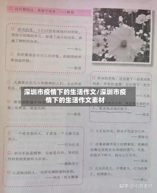 深圳市疫情下的生活作文/深圳市疫情下的生活作文素材-第3张图片
