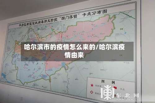 哈尔滨市的疫情怎么来的/哈尔滨疫情由来-第1张图片