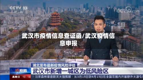 武汉市疫情信息查证函/武汉疫情信息申报-第1张图片
