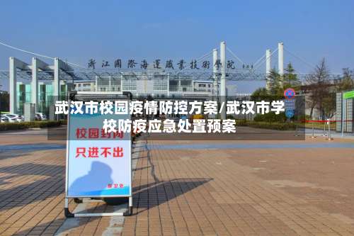 武汉市校园疫情防控方案/武汉市学校防疫应急处置预案-第1张图片