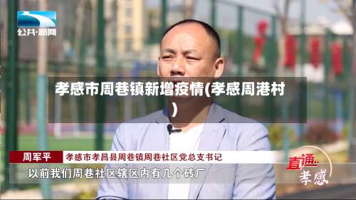 孝感市周巷镇新增疫情(孝感周港村)-第2张图片