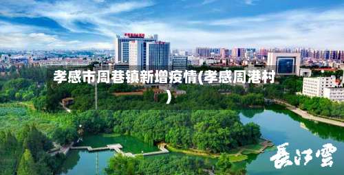 孝感市周巷镇新增疫情(孝感周港村)-第1张图片