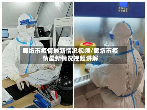 廊坊市疫情最新情况视频/廊坊市疫情最新情况视频讲解-第2张图片