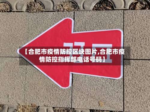 【合肥市疫情防控区块图片,合肥市疫情防控指挥部电话号码】-第3张图片