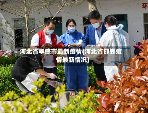 河北省孝感市最新疫情(河北省邯郸疫情最新情况)-第2张图片