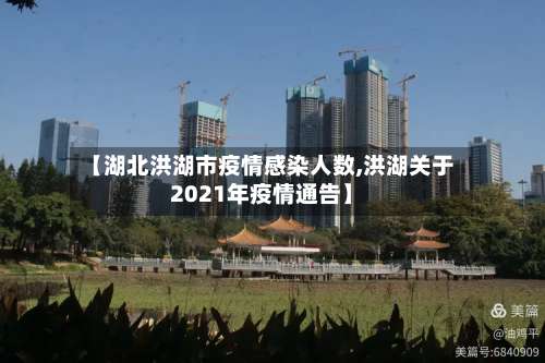 【湖北洪湖市疫情感染人数,洪湖关于2021年疫情通告】-第2张图片