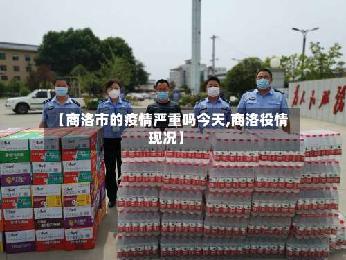 【商洛市的疫情严重吗今天,商洛役情现况】-第2张图片