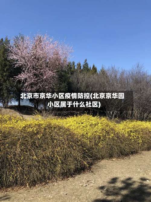 北京市京华小区疫情防控(北京京华园小区属于什么社区)-第3张图片