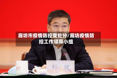 廊坊市疫情防控受处分/廊坊疫情防控工作领导小组-第2张图片