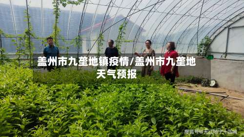 盖州市九垄地镇疫情/盖州市九垄地天气预报-第1张图片