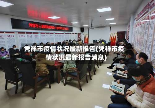 凭祥市疫情状况最新报告(凭祥市疫情状况最新报告消息)-第2张图片