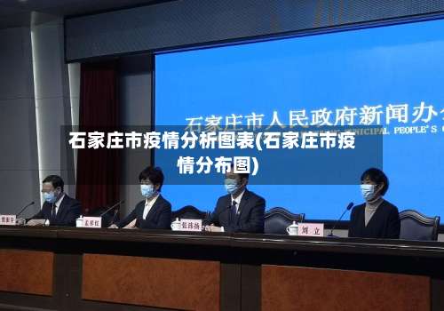 石家庄市疫情分析图表(石家庄市疫情分布图)-第2张图片