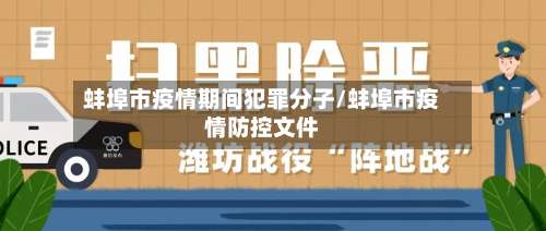 蚌埠市疫情期间犯罪分子/蚌埠市疫情防控文件-第3张图片